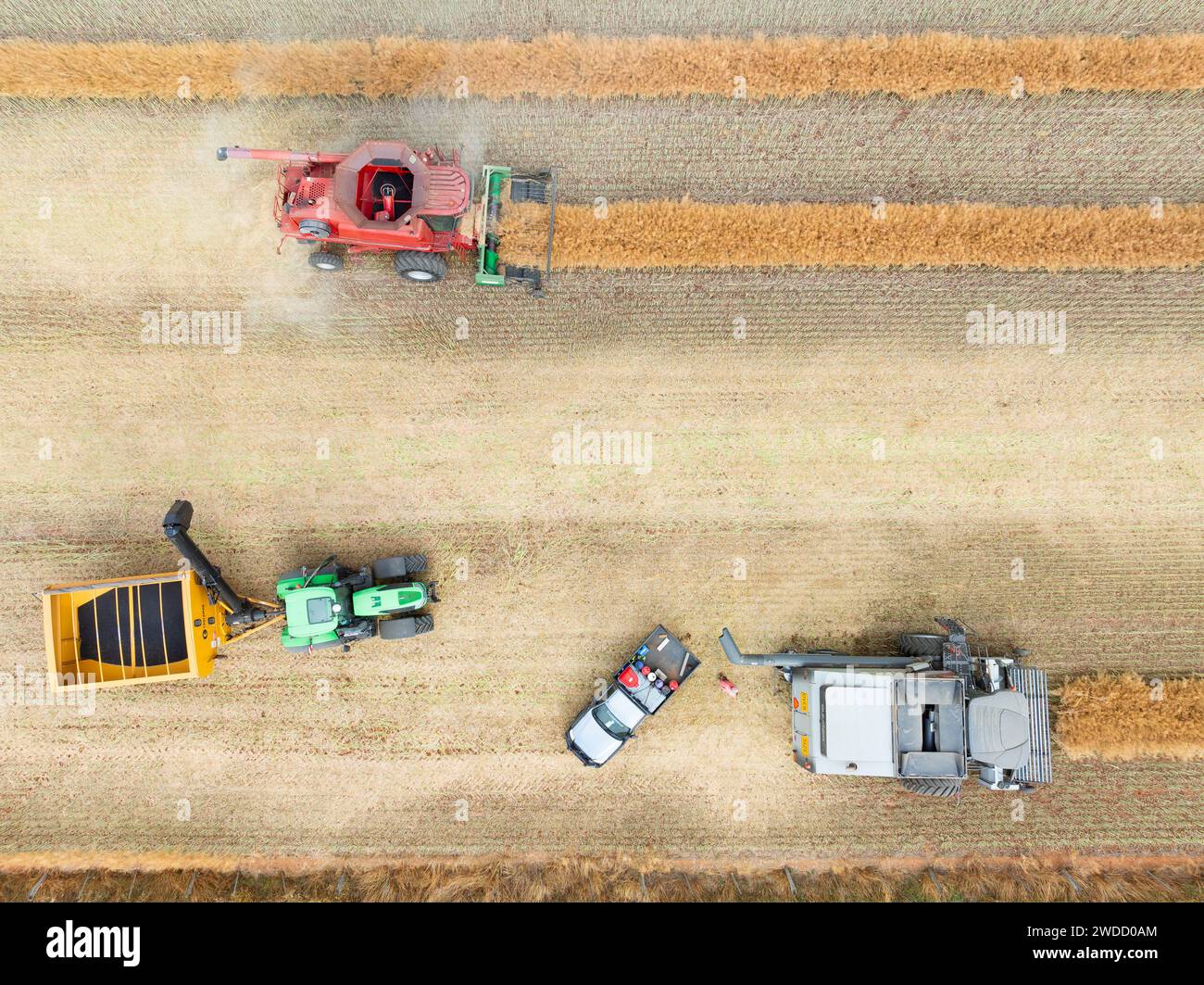 Vista aerea di una mietitrice e di veicoli agricoli che lavorano in un campo a Joyces Creek nel Victoria centrale, Australia Foto Stock