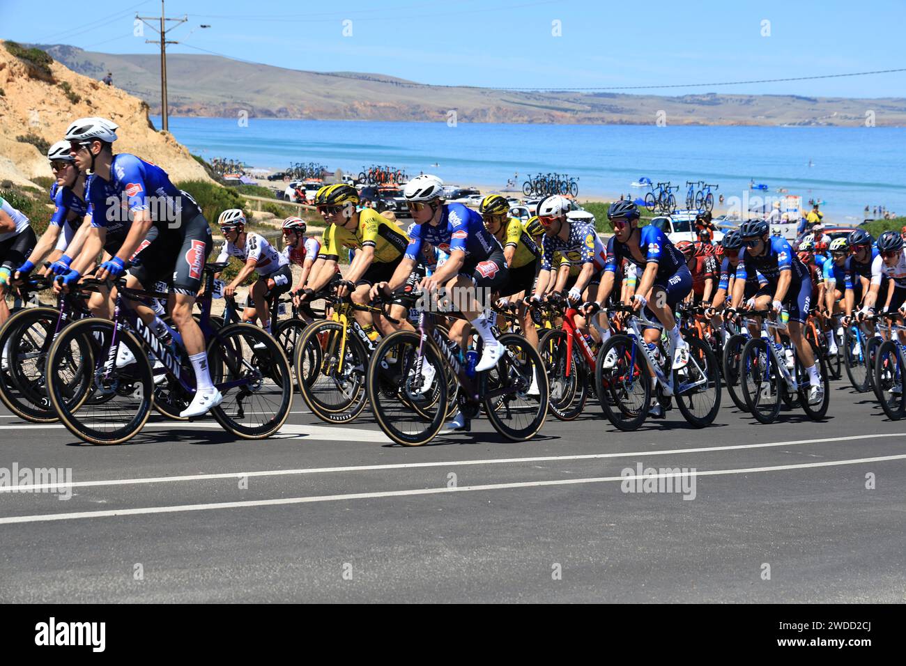 Piloti che gareggiano lungo l'Esplanade ad Aldinga nella quinta tappa del Tour Down Under Cycling Race 2024 ad Adelaide in Australia foto Russell Mountford/Alamy Live News Foto Stock