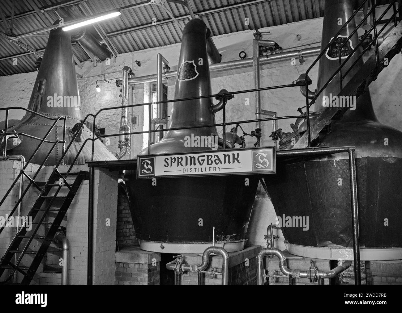 Copper Pot Stills alla distilleria Springbank, Campbeltown, Kintyre, Scozia Foto Stock