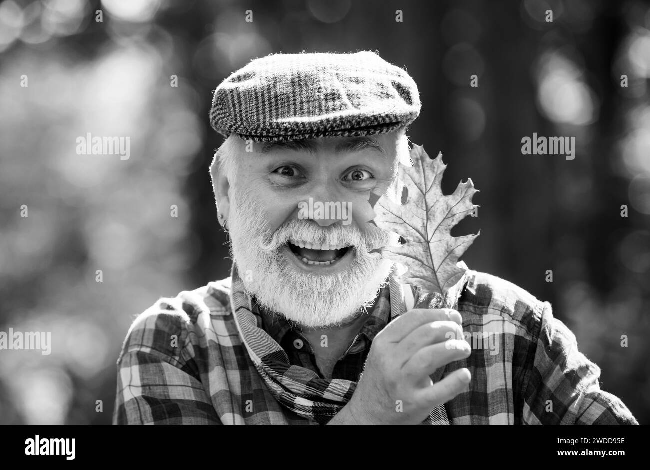 Ritratto di un uomo anziano che cammina all'aperto in un parco. Un uomo anziano felice che guarda la macchina fotografica. Autunno e vacanze attive. Ritratto autunnale del nonno. Foto Stock