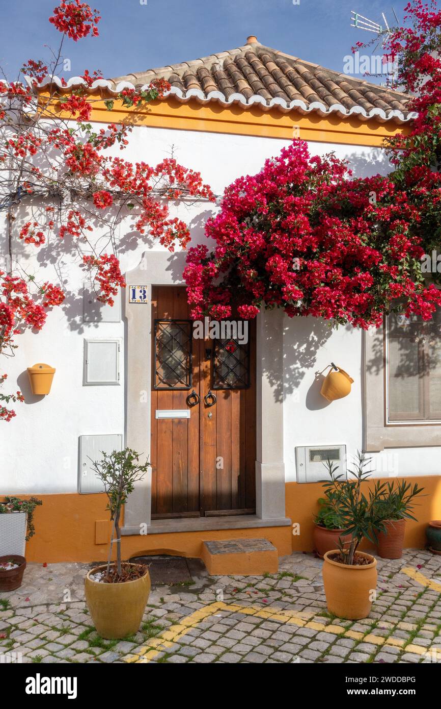 Casa tradizionale in Algarve bianca a Tavira con impianto di Bougainvillea rossa all'ingresso Foto Stock