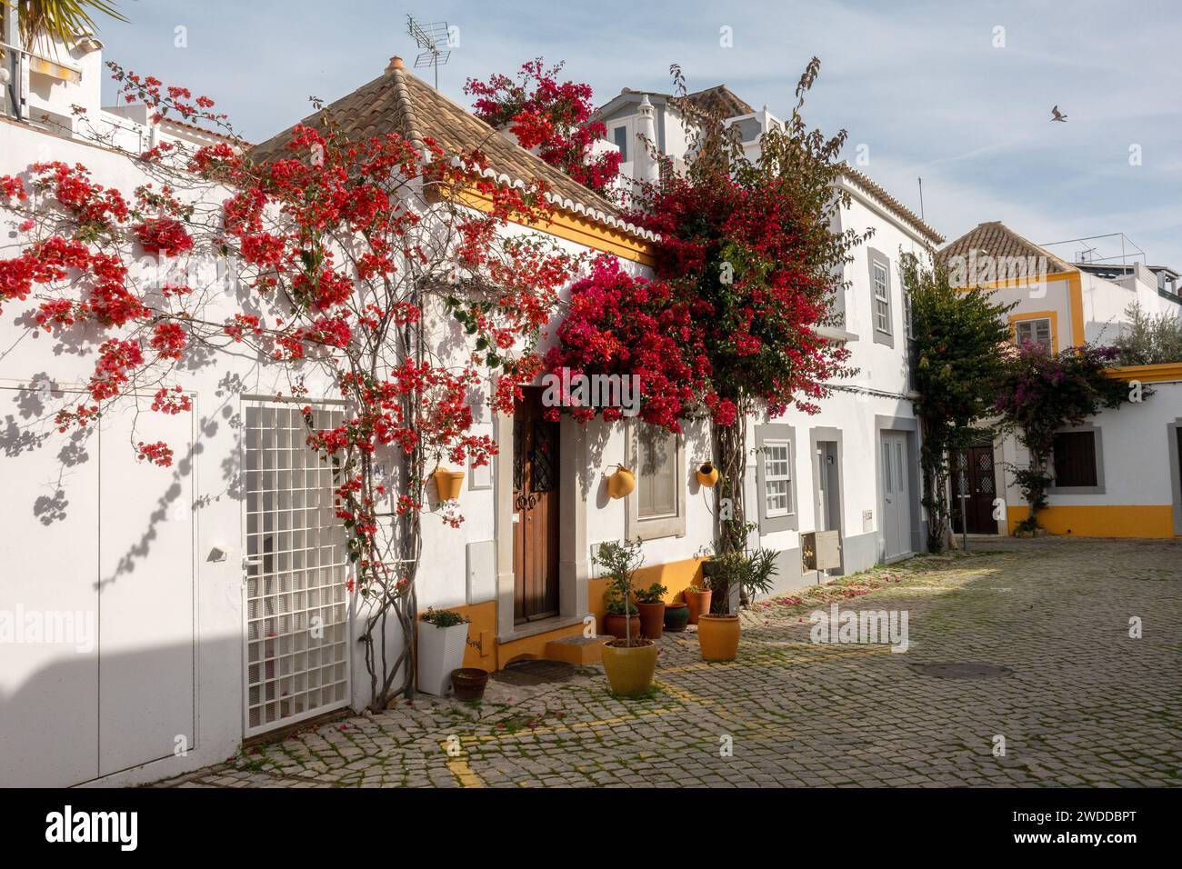 Tradizionale casa portoghese dell'Algarve con vigne fiorite rosse all'ingresso principale, 6 gennaio 2024 Foto Stock