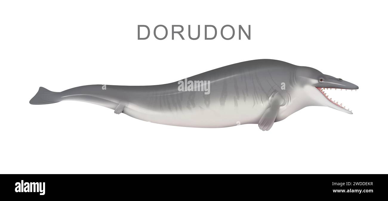 Illustrazione dell'antica balena Dorudon Foto Stock