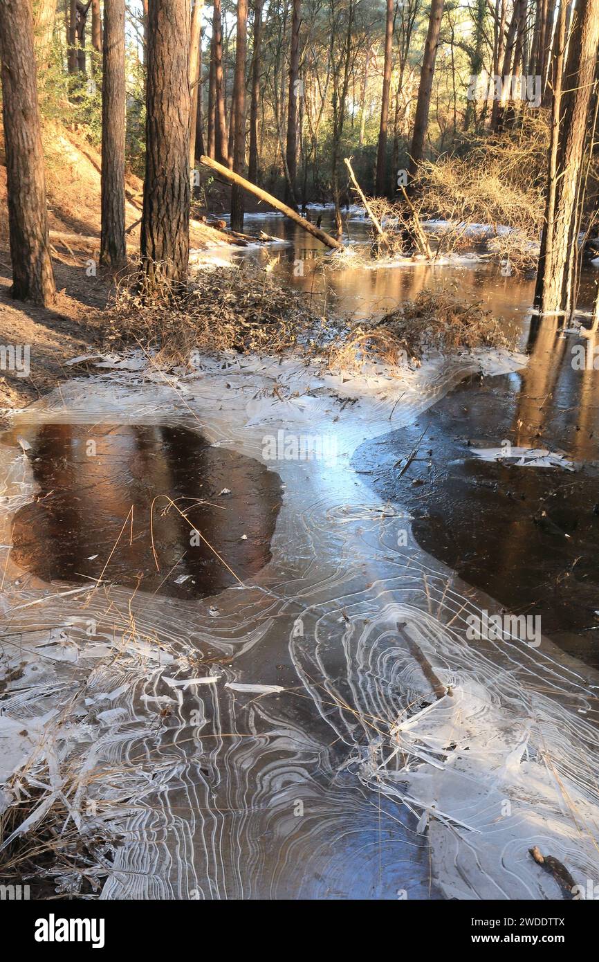 Interessanti modelli di ghiaccio sull'acqua ghiacciata che si è raccolta in una cavità naturale a Wareham, Regno Unito. Una fredda passeggiata mattutina nel Regno Unito Foto Stock