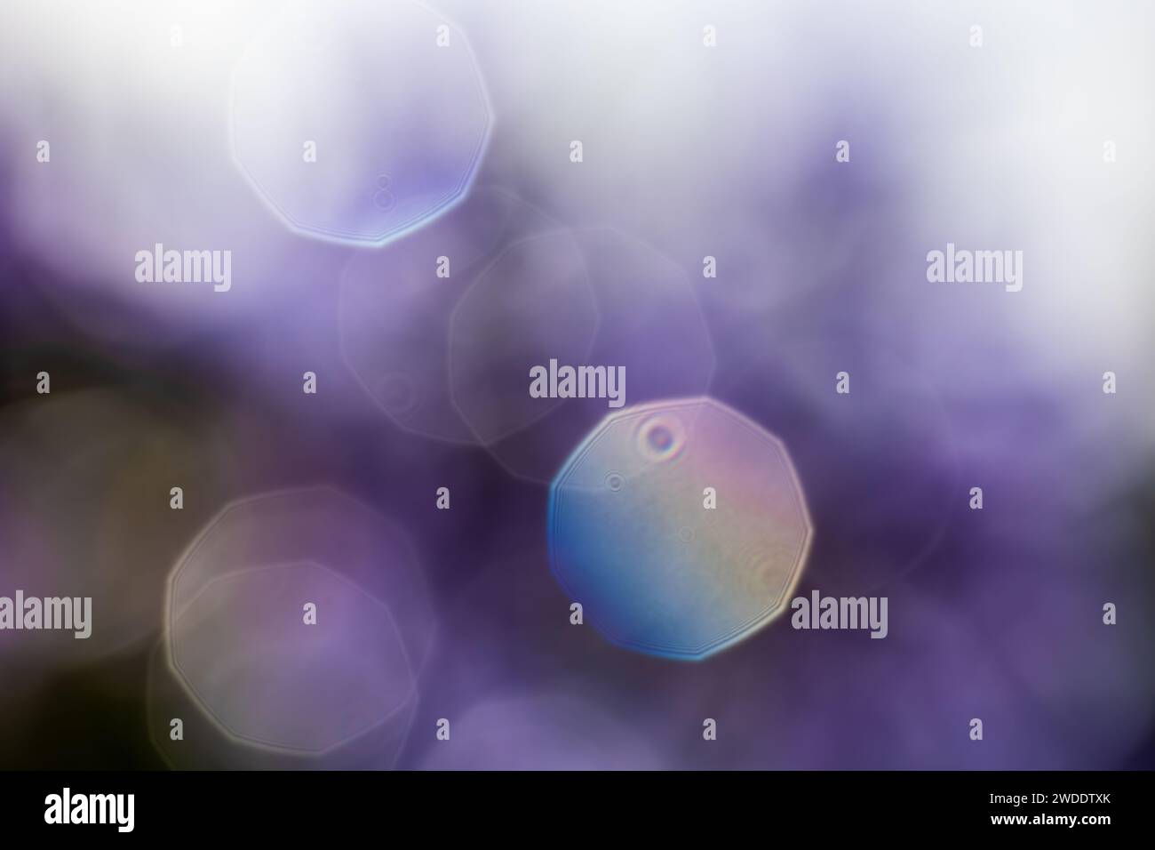 lensflares, luci bokeh sfocate in velluto e viola per webdesign, sfondi, composizioni e sovrapposizioni Foto Stock