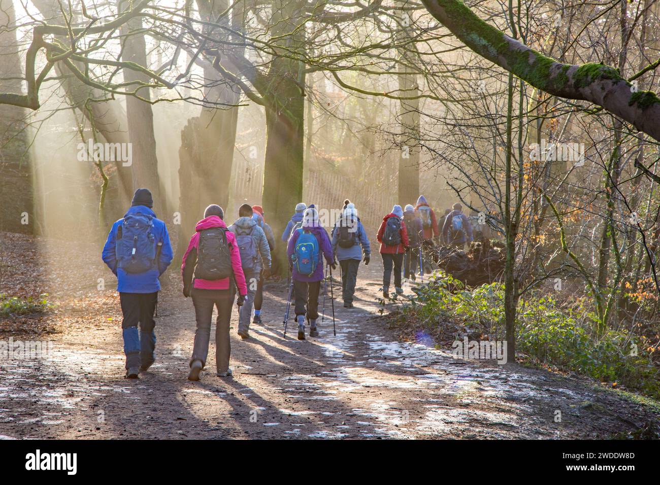 Anziani pensionati membri di un gruppo di camminatori U3A mantenersi in forma e attivi durante una passeggiata invernale intorno al parco di campagna di Styal, Cheshire, Inghilterra Foto Stock