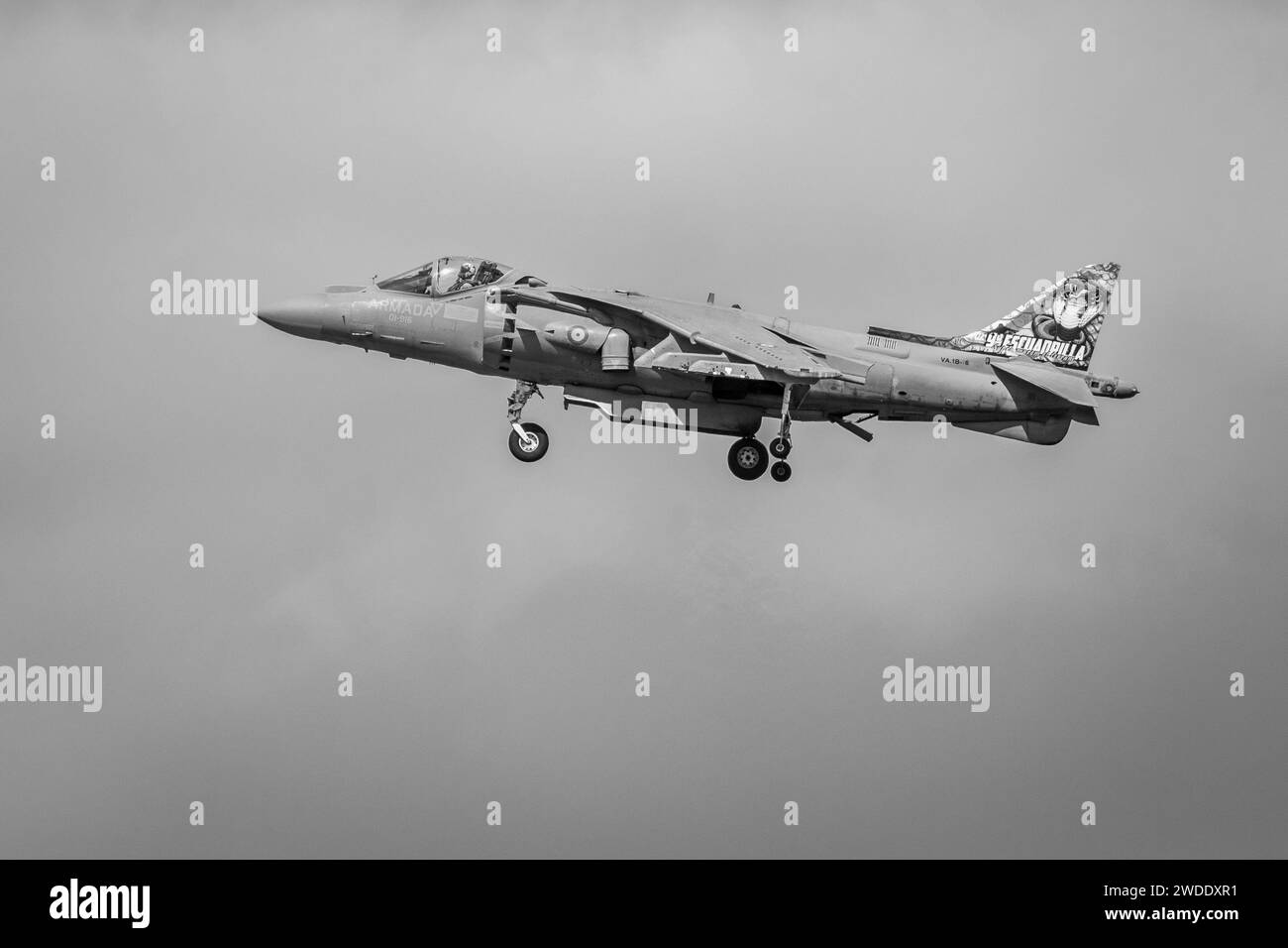 Marina spagnola McDonnell Douglas AV-8B Harrier II, trasportato in volo al Royal International Air Tattoo 2023. Foto Stock