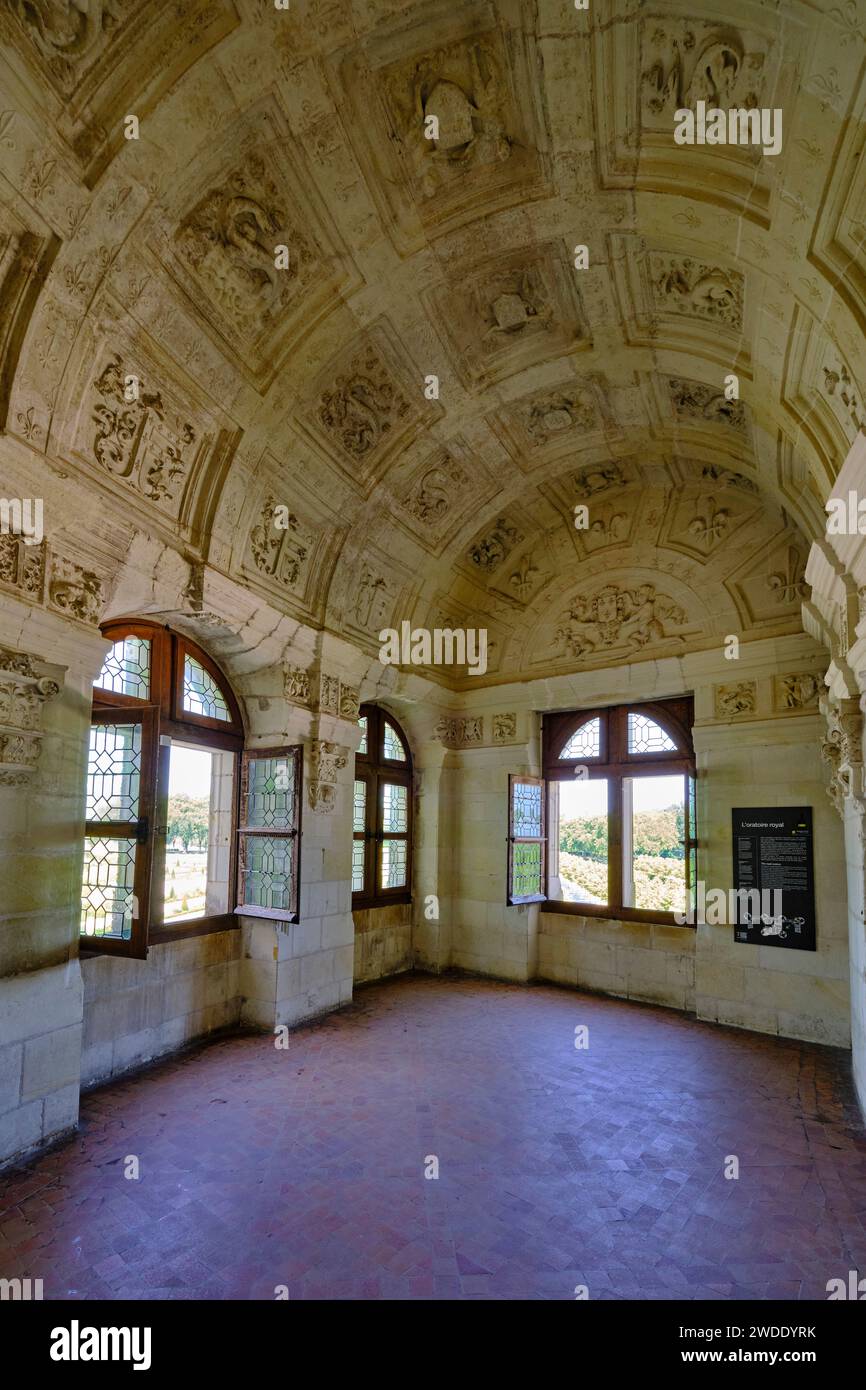 Francia, Loir-et-Cher (41), Vallée de la Loire classée patrimoine mondial de l'UNESCO, Chambord, le château de Chambord, couloir // France, Loir-et-che Foto Stock