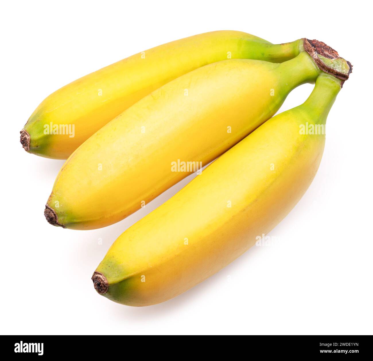 Banane piccole isolate su sfondo bianco. Foto Stock