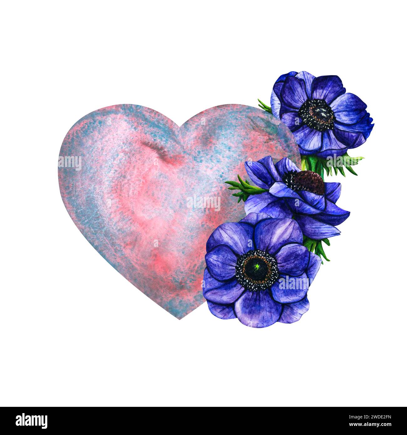 Semplice acquerello rosa-blu lilla ascolta i tulipani viola per un biglietto da visita o una t-shirt di San Valentino. Romanticismo, relazione e amore. Illus cardiaco Foto Stock