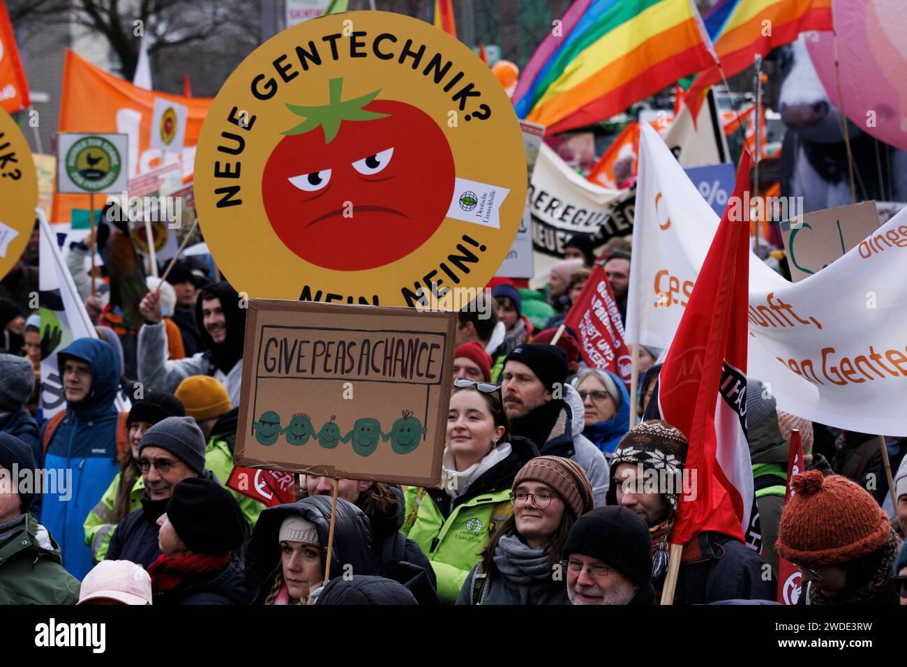 Berlino, Germania. 20 gennaio 2024. I partecipanti protestano contro la politica agricola con striscioni e cartelli durante una dimostrazione dell'alleanza "We're Fed Up" di fronte alla Willy Brand House. La manifestazione si è svolta sotto lo slogan "il buon cibo ha bisogno di un futuro!”. Crediti: Carsten Koall/dpa/Alamy Live News Foto Stock