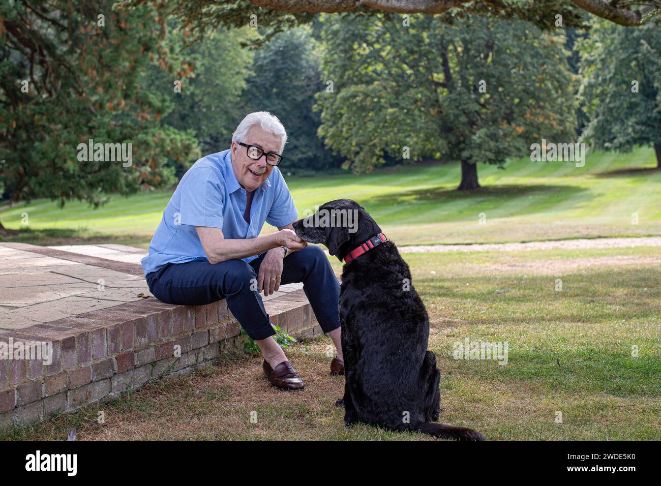 Ken Follett dà da mangiare al cane in casa di campagna vicino a Stevenage, Hertfordshire. Foto Stock