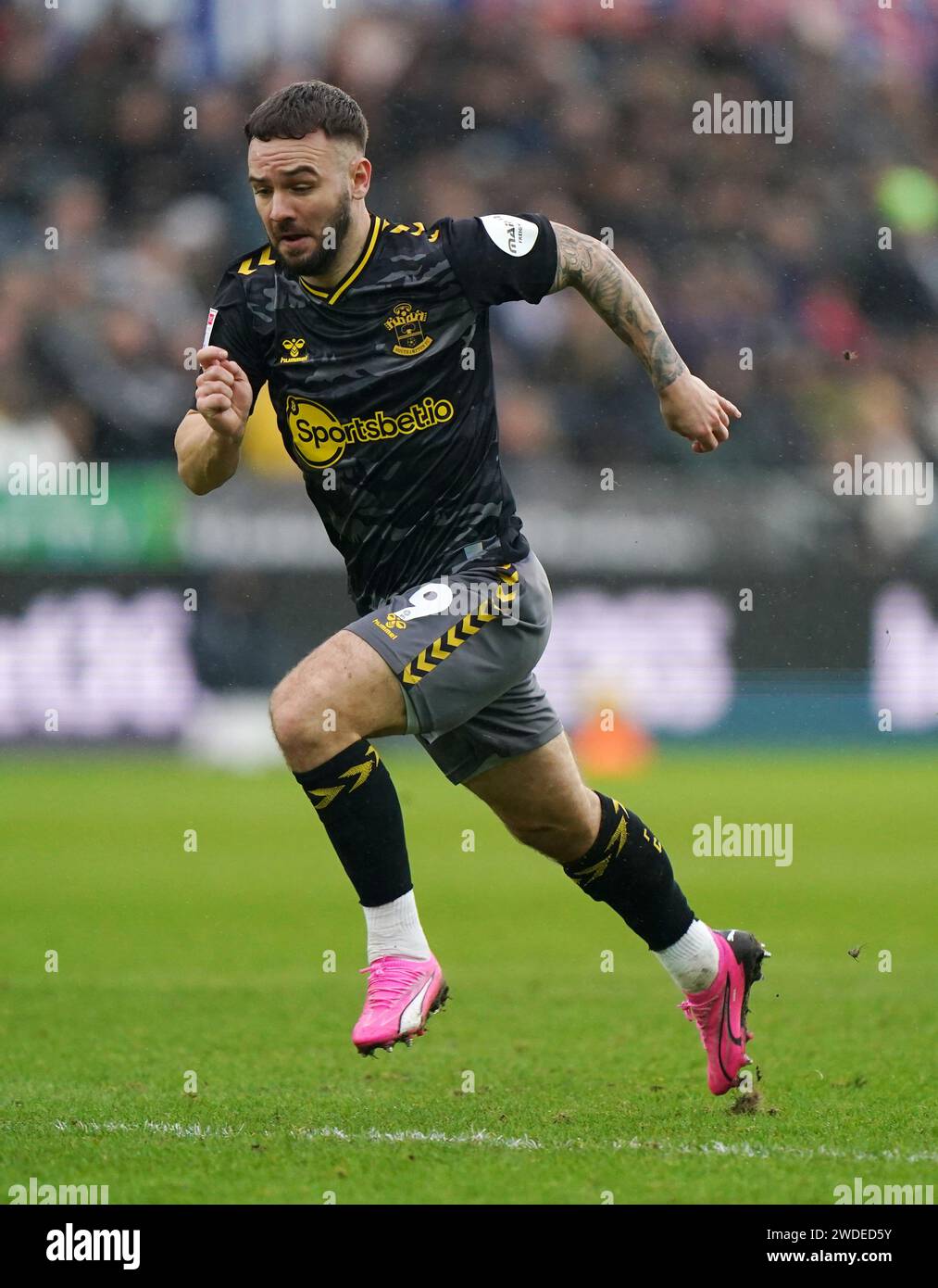 Adam Armstrong di Southampton durante la partita del campionato Sky Bet allo stadio Swansea.com di Swansea. Data immagine: Sabato 20 gennaio 2024. Foto Stock