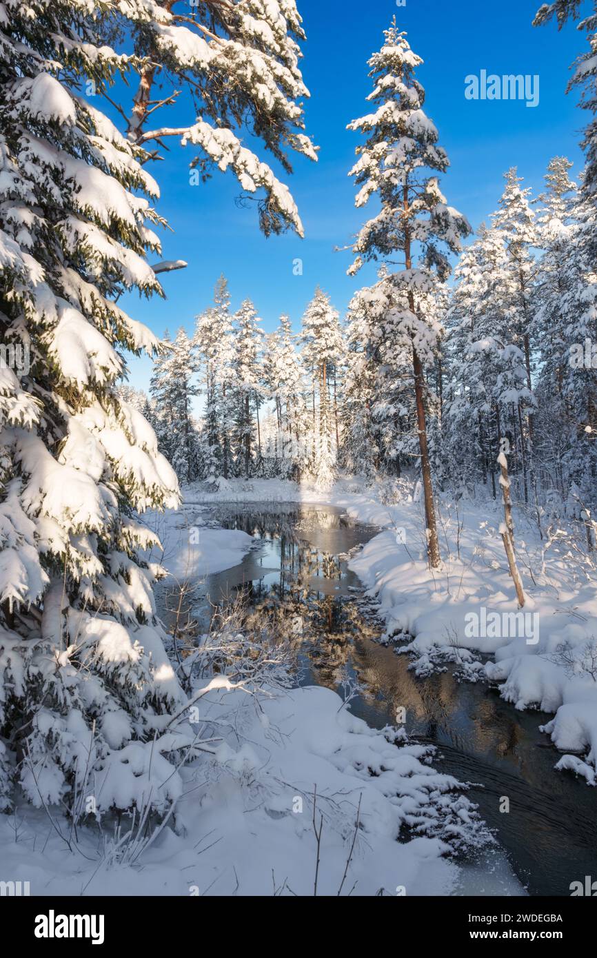 Fiume che scorre attraverso la foresta invernale, cielo blu, scenario rurale Foto Stock