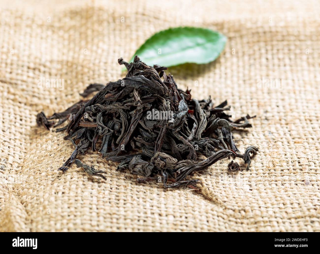 tè nero drago su sfondo di tela Foto Stock