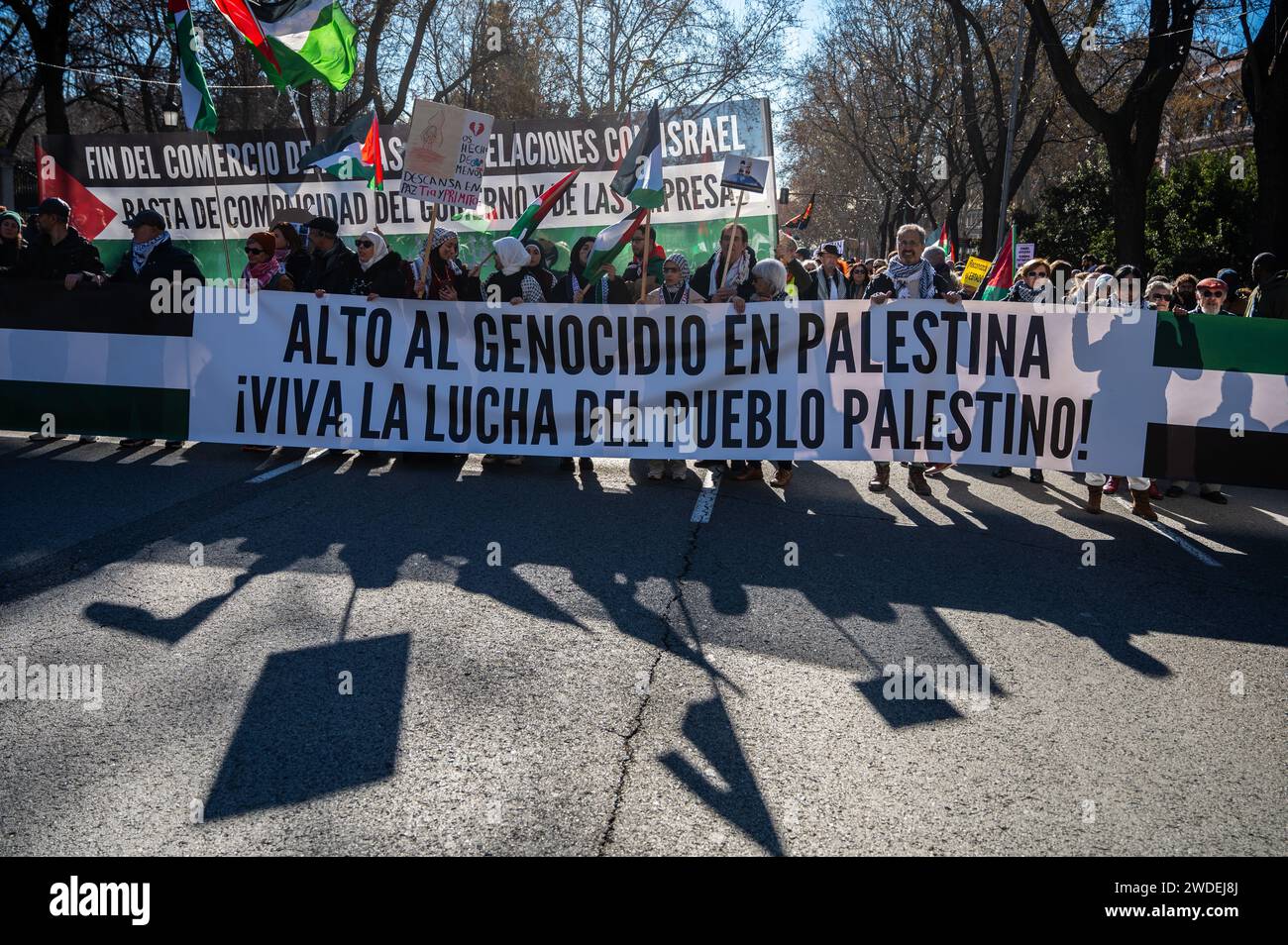 Madrid, Spagna. 20 gennaio 2024. Persone con uno striscione che recita "ferma il genocidio in Palestina, viva la lotta del popolo palestinese” protestando durante una manifestazione a sostegno del popolo palestinese. Migliaia di persone hanno marciato attraverso il centro della città per chiedere un cessate il fuoco a Gaza mentre continuano gli attacchi israeliani. Oltre 23.000 palestinesi sono stati uccisi nella Striscia di Gaza dal 7 ottobre 2023, a seguito di attacchi aerei israeliani e attacchi durante il conflitto tra Israele e Palestina. Crediti: Marcos del Mazo/Alamy Live News Foto Stock