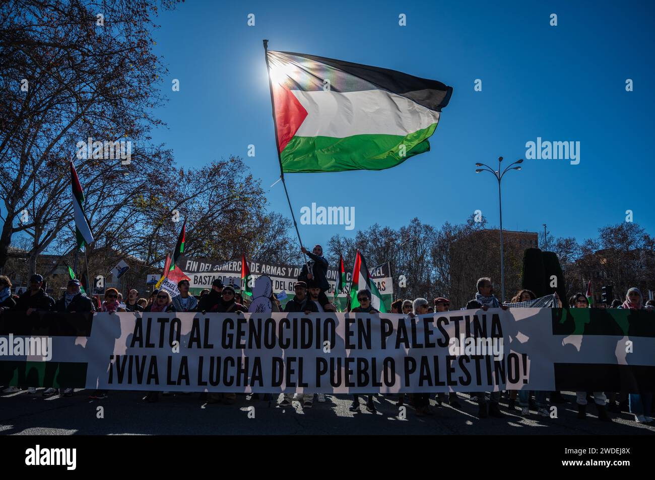 Madrid, Spagna. 20 gennaio 2024. Persone con uno striscione che recita "ferma il genocidio in Palestina, viva la lotta del popolo palestinese” protestando durante una manifestazione a sostegno del popolo palestinese. Migliaia di persone hanno marciato attraverso il centro della città per chiedere un cessate il fuoco a Gaza mentre continuano gli attacchi israeliani. Oltre 23.000 palestinesi sono stati uccisi nella Striscia di Gaza dal 7 ottobre 2023, a seguito di attacchi aerei israeliani e attacchi durante il conflitto tra Israele e Palestina. Crediti: Marcos del Mazo/Alamy Live News Foto Stock