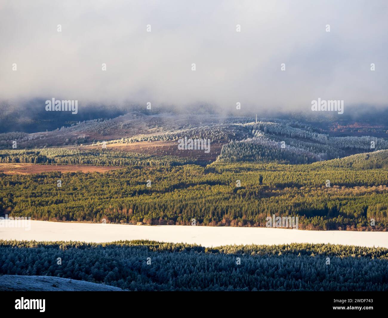 Guardando in basso un Loch Morlich ghiacciato e innevato con ghiaccio di pino scozzese nella foresta di pini Caledonian a Cairngorms, sopra Aviemore, SCO Foto Stock