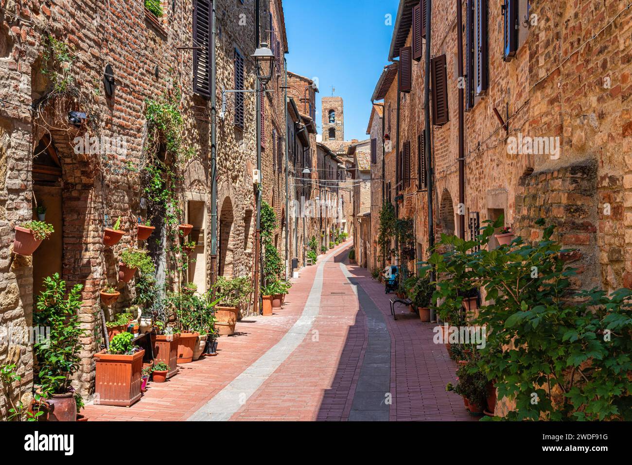 Il pittoresco villaggio di Casole d'Elsa in una soleggiata mattinata d'estate. Provincia di Siena, Toscana, Italia Foto Stock