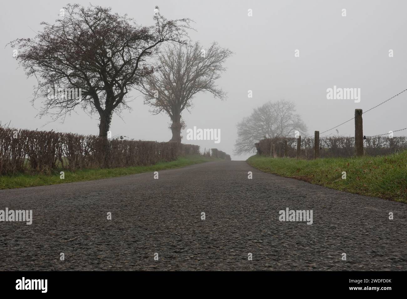Paesaggio con atmosfera di novembre Foto Stock