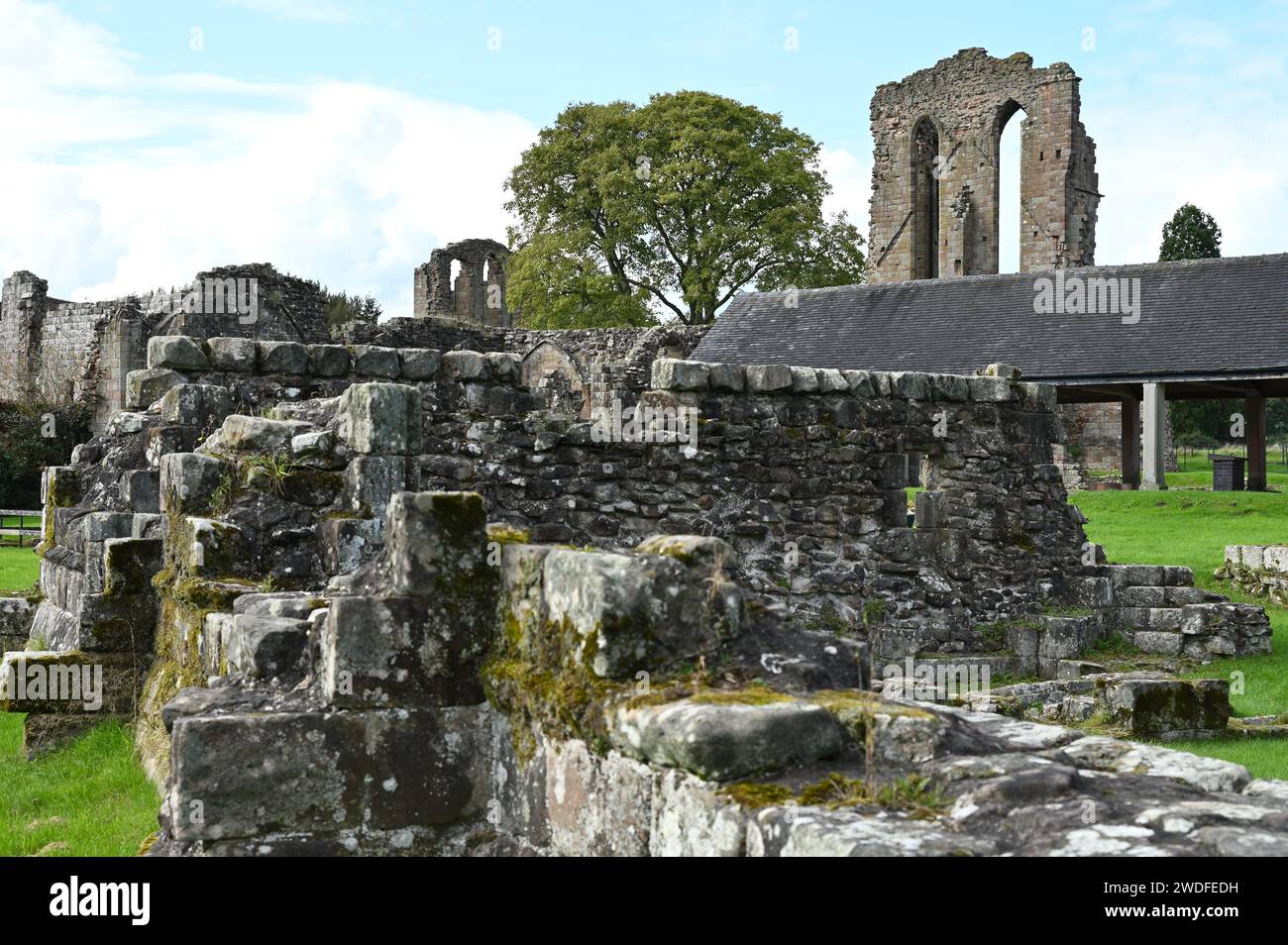 Rovine dell'abbazia cistercense di Croxden del XII secolo nello Staffordshire, Inghilterra, settembre Foto Stock