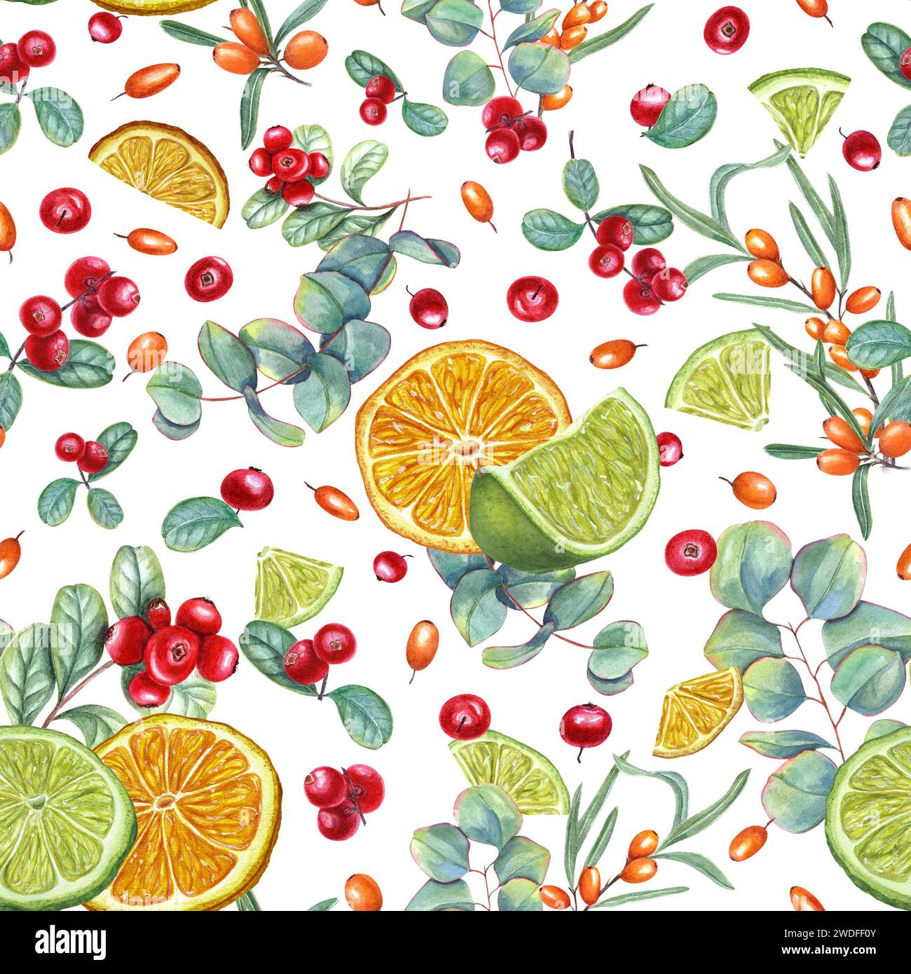 Motivo luminoso senza cuciture con frutti di bosco e frutta. Lime, fette d'arancia, spina dorsale, mirtillo rosso, ramo di eucalipto. Illustrazione acquerello Foto Stock