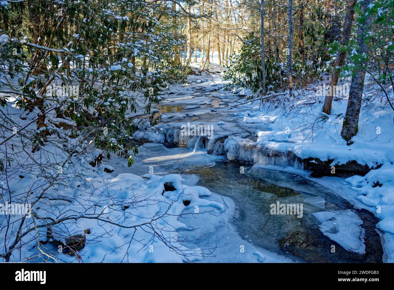 Un torrente con una piccola cascata ghiacciata con massi ricoperti di ghiaccio e neve che ancora fluiscono in una piscina d'acqua aperta nella foresta nell'area ombreggiata di Foto Stock