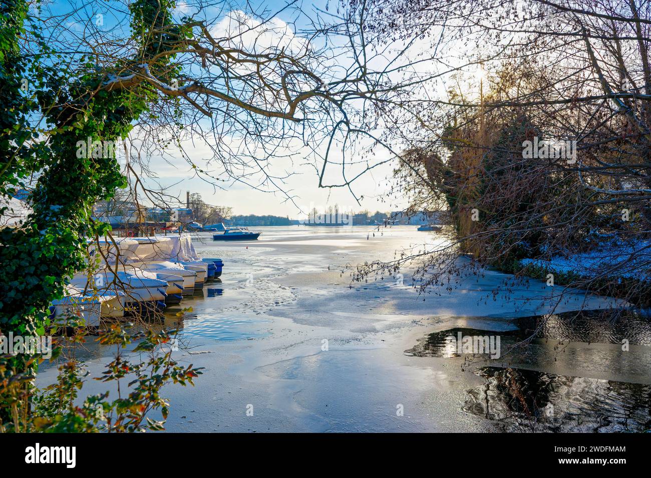Ammira attraverso i rami il fiume ghiacciato Dahme a Berlino Koepenick. Foto Stock