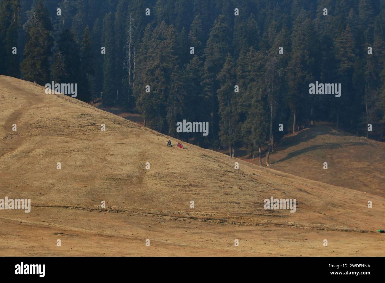 Srinagar Kashmir, India. 20 gennaio 2024. La gente riposa sulle piste da sci di Gulmarg, a circa 55 km da Srinagar. Il prolungato periodo di secchezza di quest'inverno nella valle del Kashmir ha inferto un duro colpo alla famosa stazione sciistica di Gulmarg. Le piste da sci, un tempo trafficate, sono ormai senza neve e sono motivo di delusione per i turisti e in particolare per gli appassionati di sci. L'assenza di nevicate stagionali ha comportato la cancellazione delle prenotazioni di massa per i proprietari di hotel, con un grave impatto sulle loro attività. Questa battuta d’arresto imprevista sottolinea la vulnerabilità delle economie dipendenti dall’inverno e l’urgente necessità di strategie Foto Stock