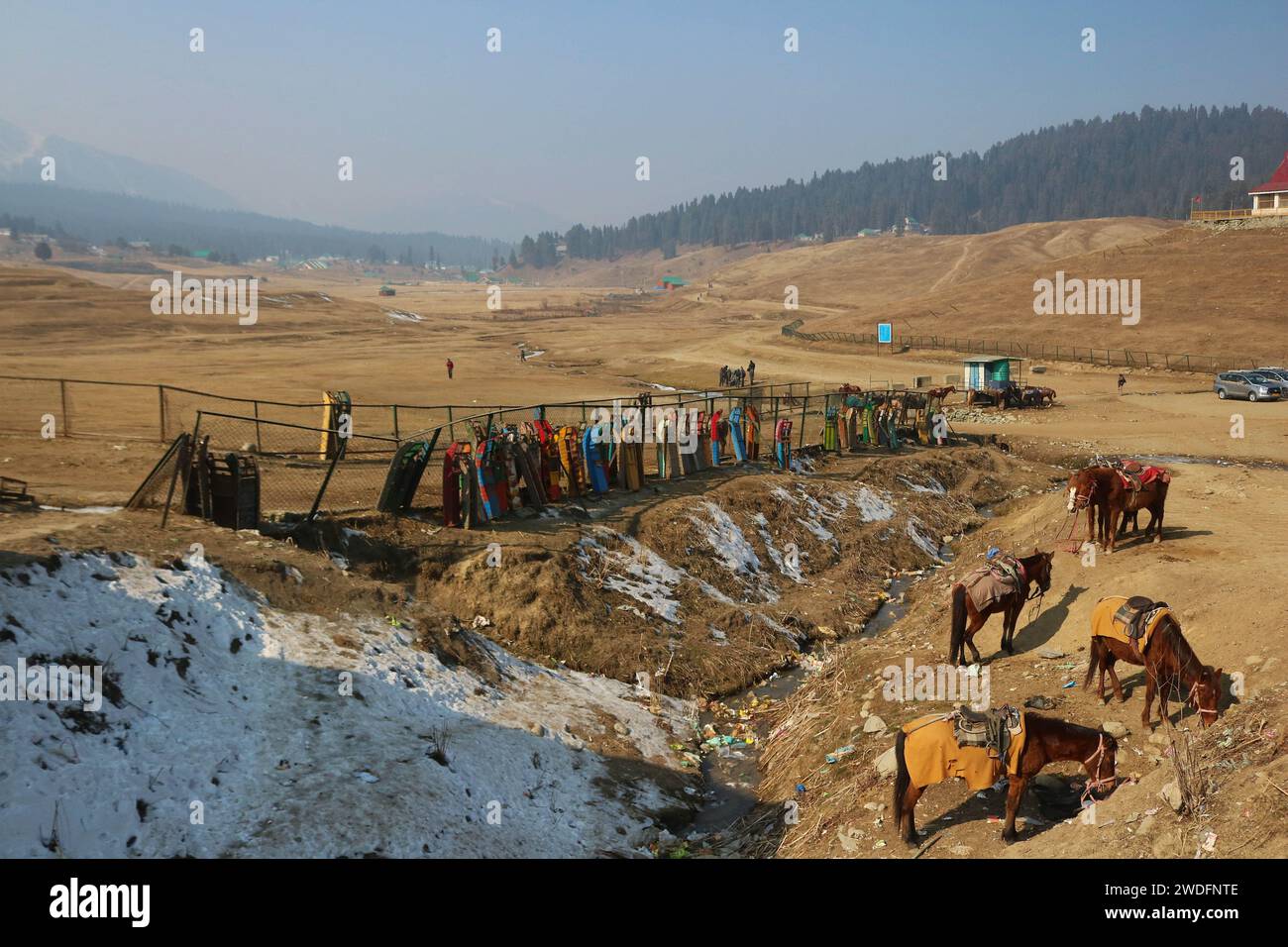 Srinagar Kashmir, India. 20 gennaio 2024. Cavalli e slitte si trovano a Gulmarg, a circa 55 km da Srinagar. Il prolungato periodo di secchezza di quest'inverno nella valle del Kashmir ha inferto un duro colpo alla famosa stazione sciistica di Gulmarg. Le piste da sci, un tempo trafficate, sono ormai senza neve e sono motivo di delusione per i turisti e in particolare per gli appassionati di sci. L'assenza di nevicate stagionali ha comportato la cancellazione delle prenotazioni di massa per i proprietari di hotel, con un grave impatto sulle loro attività. Questa battuta d’arresto imprevista sottolinea la vulnerabilità delle economie dipendenti dall’inverno e l’urgente necessità di strategie Foto Stock