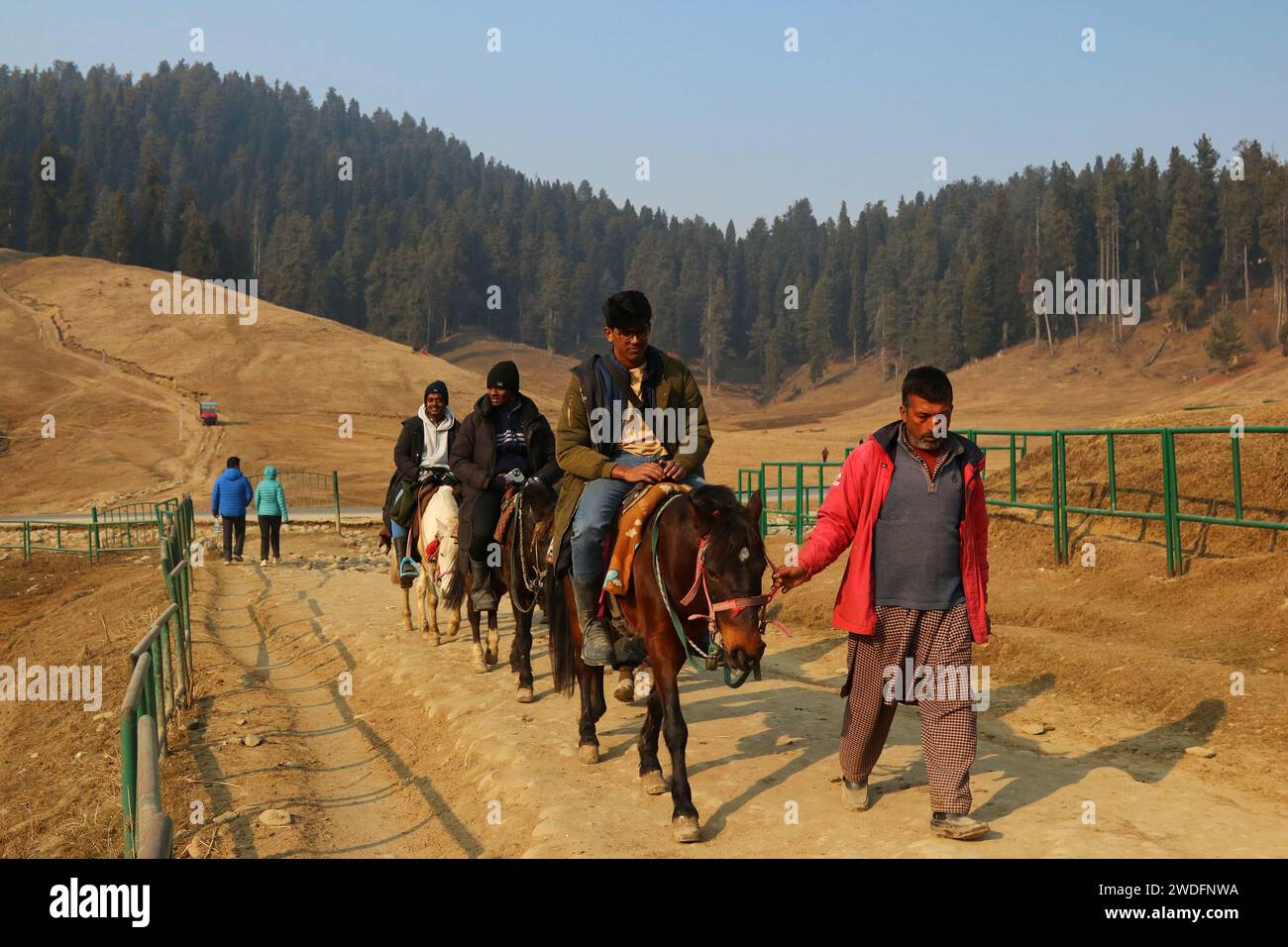 Srinagar Kashmir, India. 20 gennaio 2024. Una guida conduce i visitatori durante un giro a cavallo lungo le piste da sci di Gulmarg, a circa 55 km da Srinagar. Il prolungato periodo di secchezza di quest'inverno nella valle del Kashmir ha inferto un duro colpo alla famosa stazione sciistica di Gulmarg. Le piste da sci, un tempo trafficate, sono ormai senza neve e sono motivo di delusione per i turisti e in particolare per gli appassionati di sci. L'assenza di nevicate stagionali ha comportato la cancellazione delle prenotazioni di massa per i proprietari di hotel, con un grave impatto sulle loro attività. Questa battuta d'arresto imprevista sottolinea la vulnerabilità delle economie dipendenti dall'inverno Foto Stock