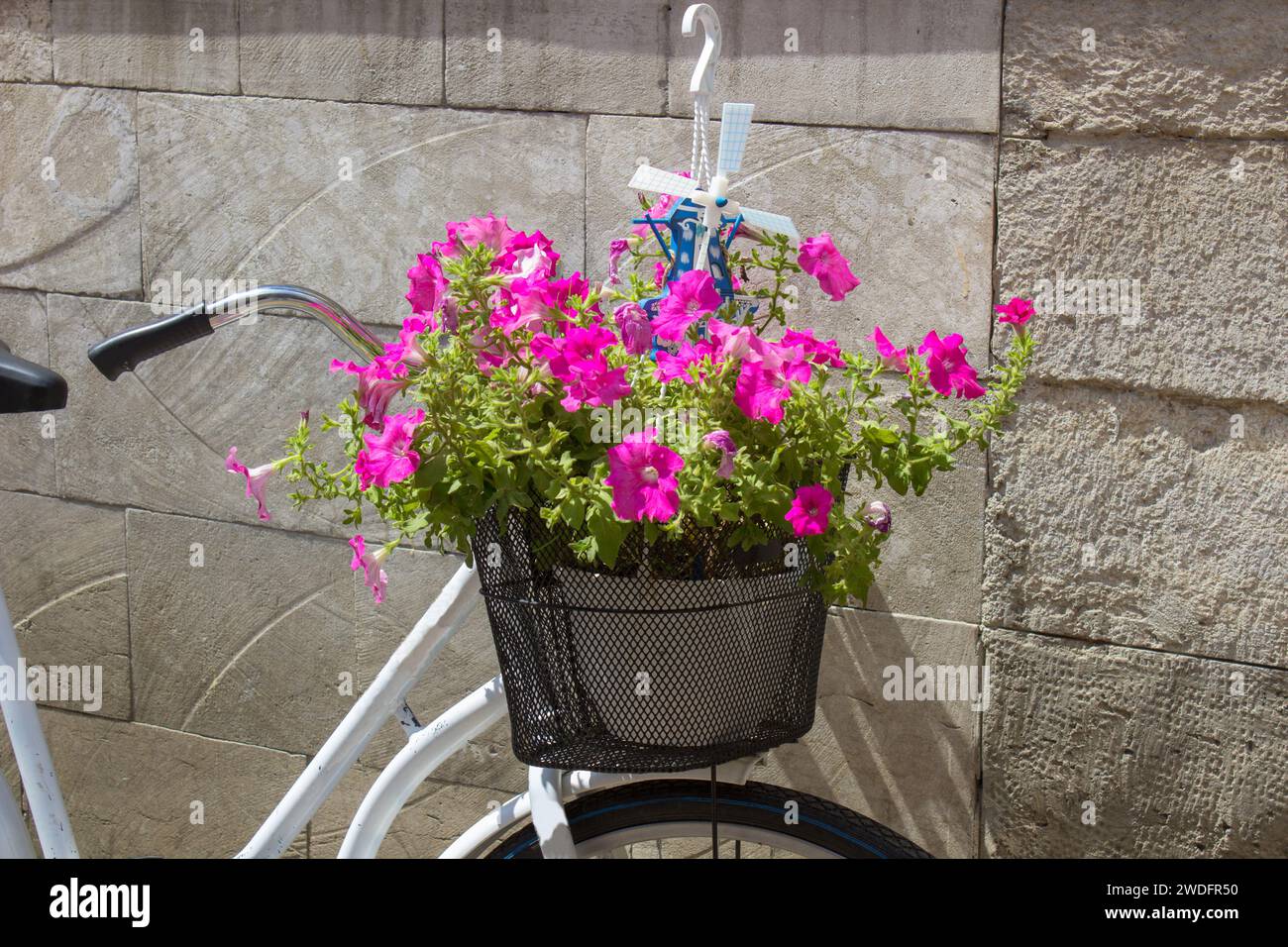 vecchia bicicletta con fiori vicino al muro Foto Stock