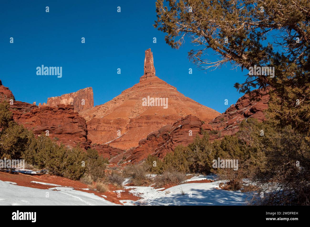 Castle Rock, alias Castleton Tower vicino a Moab, Utah. È presente in una serie di WESTERN di John Ford con John Wayne Foto Stock