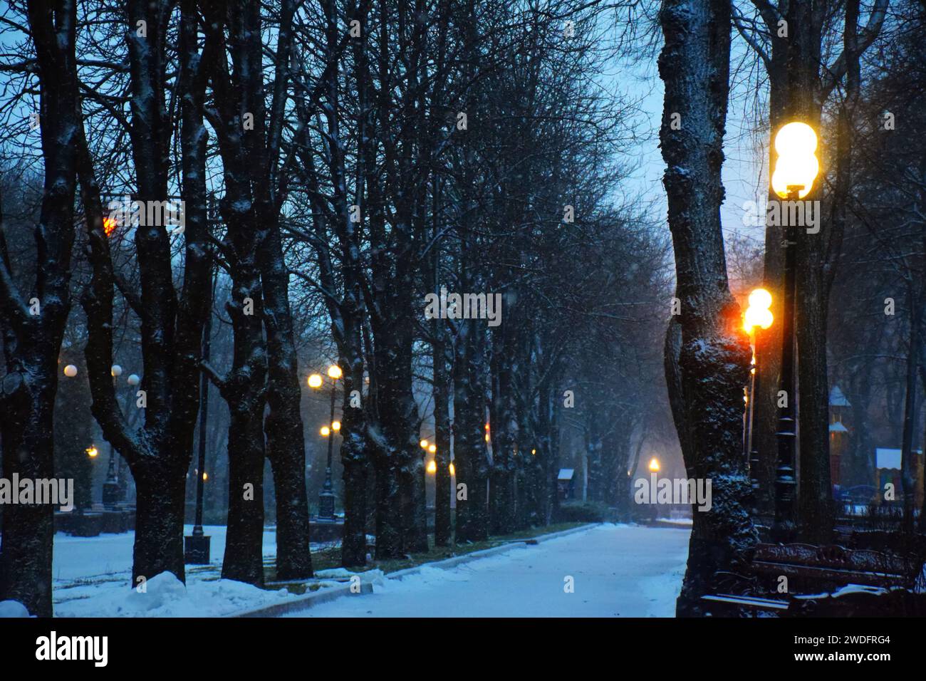 Splendida vista del lago Emerald, con la neve ricoperta e un Lodge di legno che si illumina nelle montagne rocciose e nella pineta d'inverno al parco nazionale di Yoho, British Foto Stock