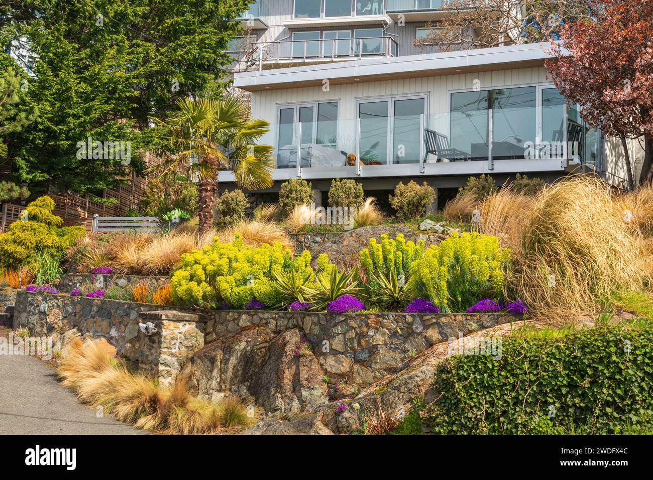 Paesaggio residenziale nelle case di Victoria, Vancouver Island, British Columbia, Canada. Foto Stock
