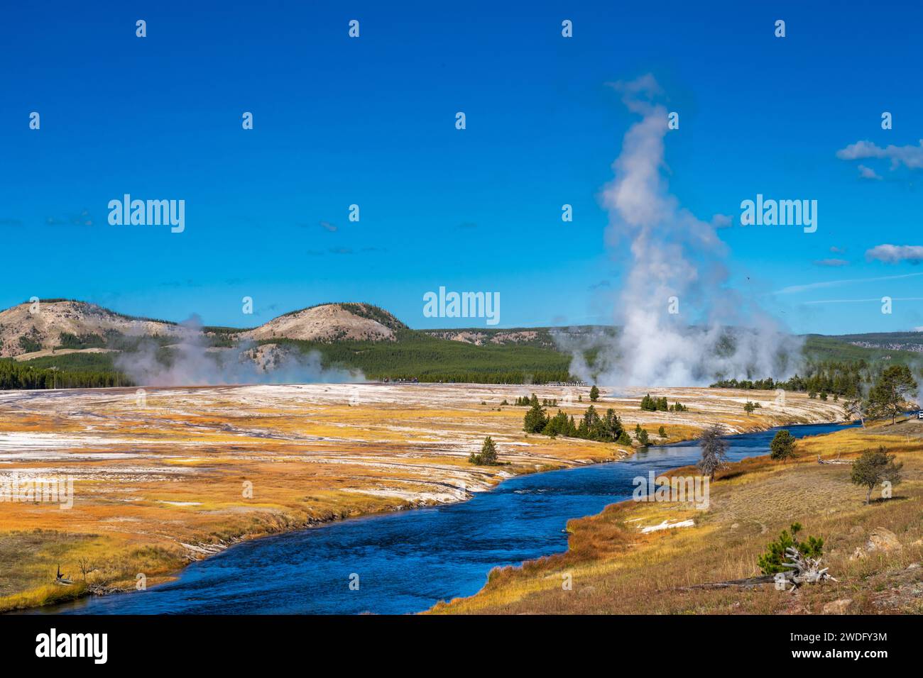 Il vapore si innalza nel bacino dei geyser nel parco nazionale di Yellowstone, Wyoming, USA. Foto Stock