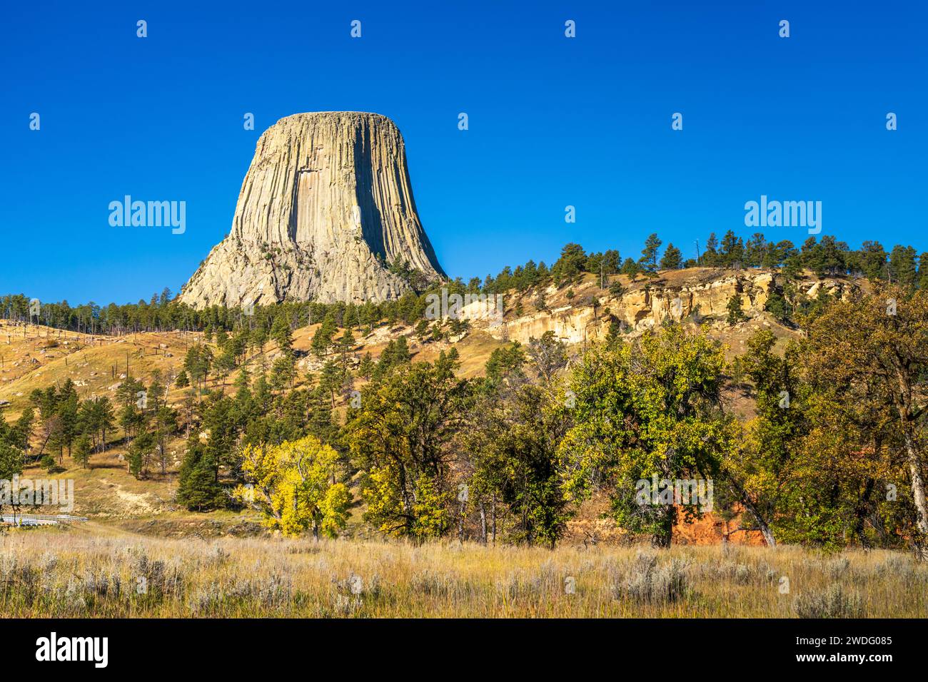 Monumento nazionale della Devils Tower con colori autunnali, vicino a Sundance, Wyoming, Stati Uniti. Foto Stock