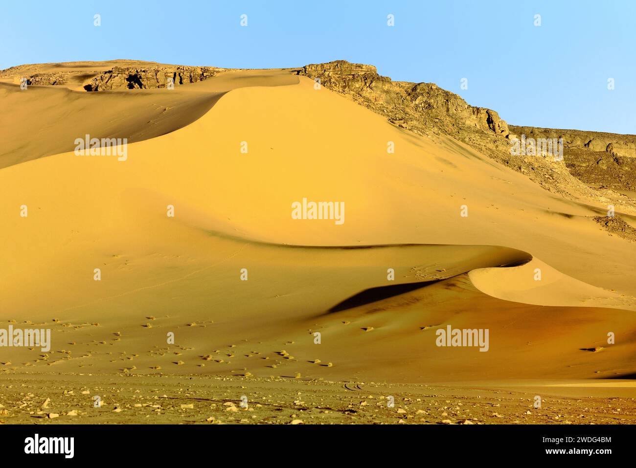 ALGERIA CON DUNE DI SABBIA NEL DESERTO DEL SAHARA INTORNO ALL'OASI DJANET Foto Stock