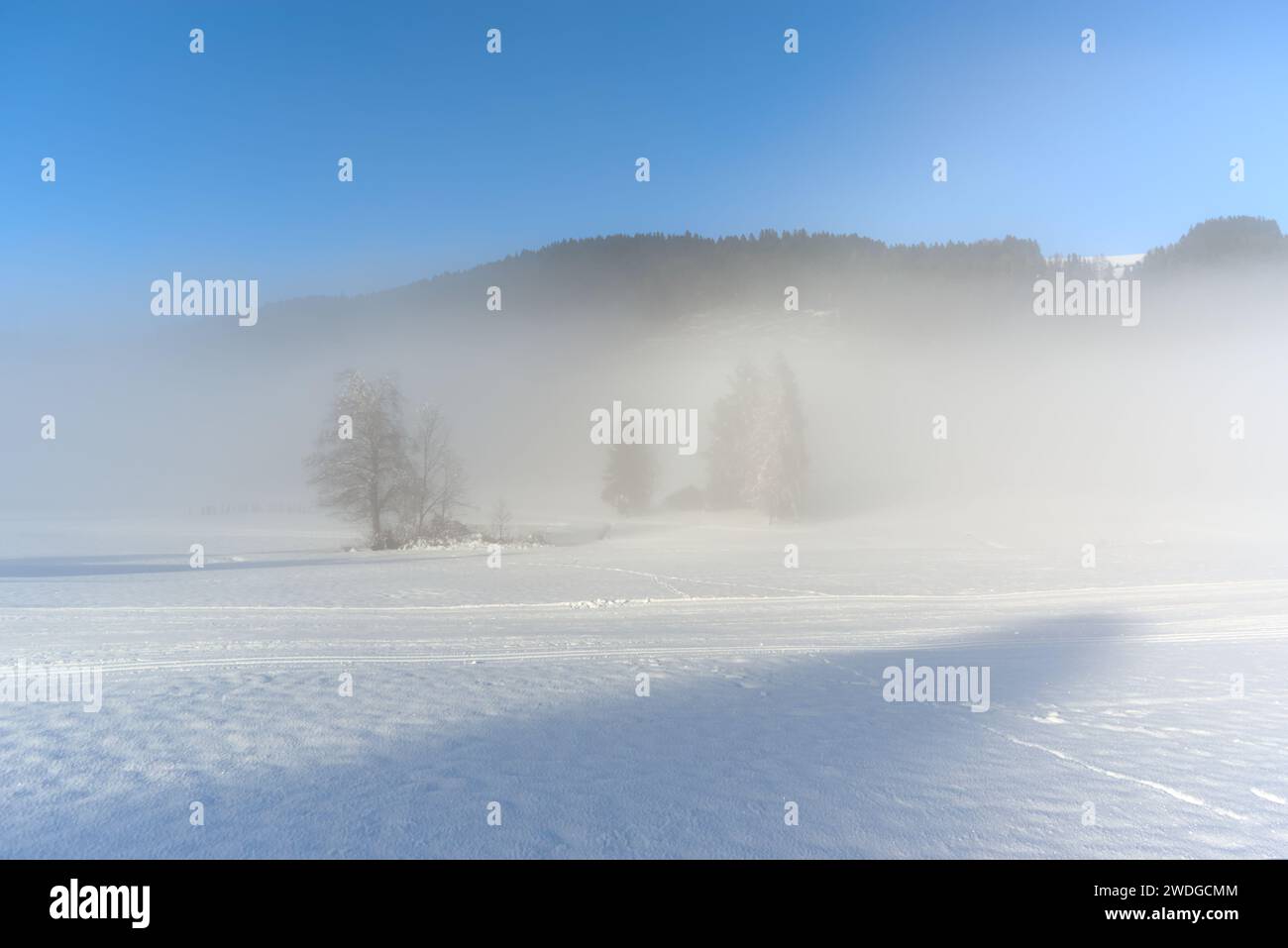 Una giornata di sole sulle alpi. Neve fresca e cielo blu. Il sole splende sulla neve bianca nelle giornate fredde. Foto Stock