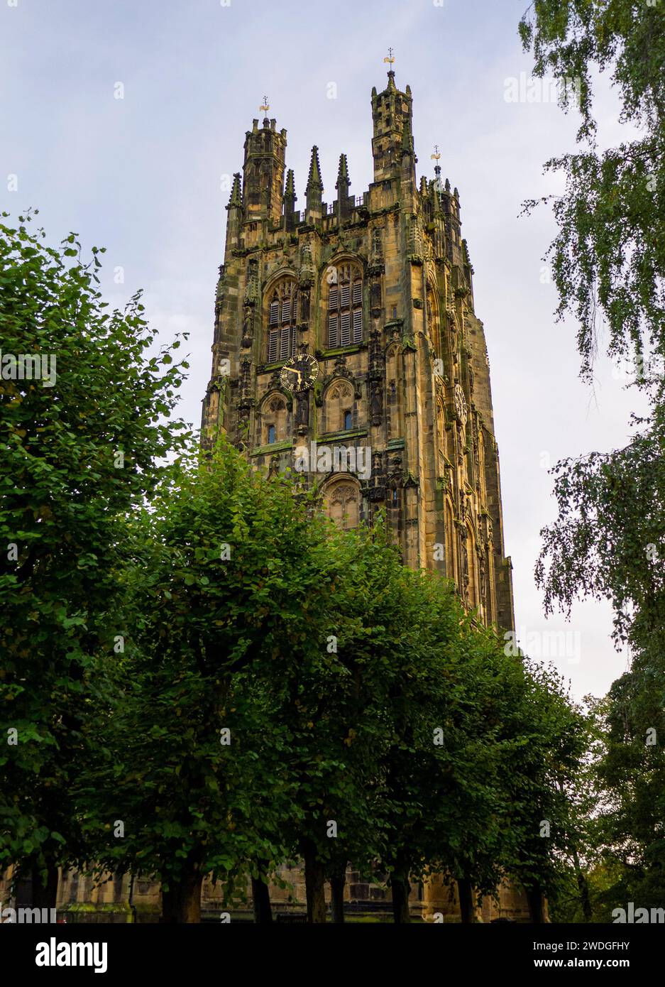 Vista dall'angolo basso della torre della chiesa parrocchiale di St Giles dietro la linea degli alberi, Church Street, Wrexham, Wrexham County Borough, Galles Foto Stock