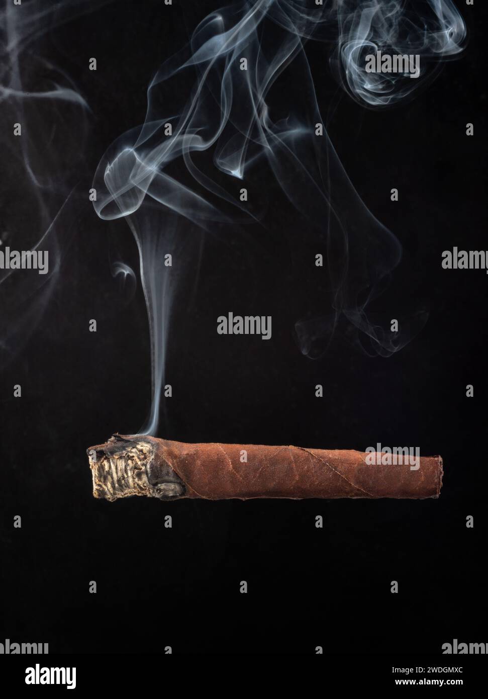 Sigaro bruciato con fumo bianco su sfondo nero - sigaro toscano bruciato isolato su nero Foto Stock