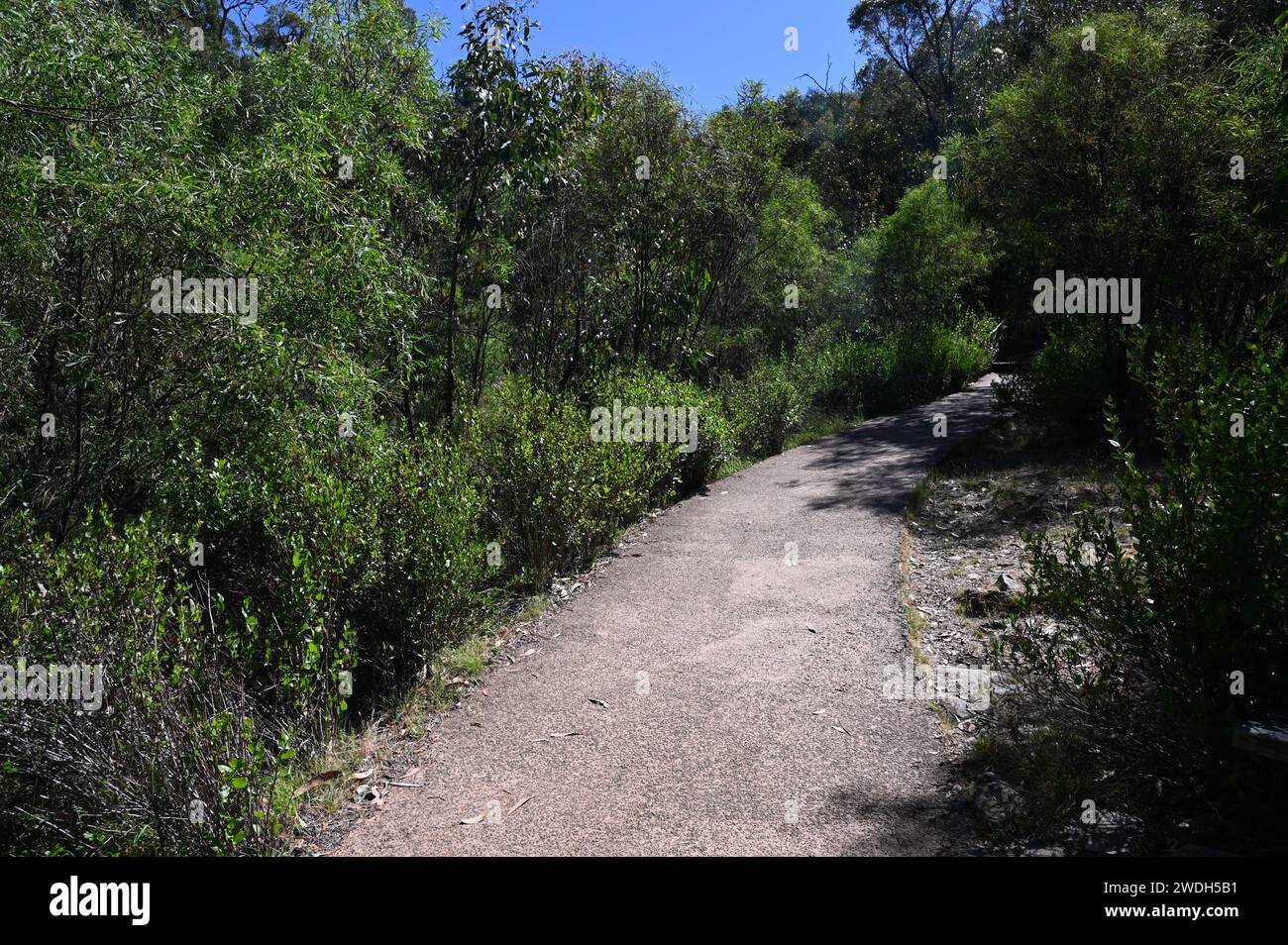 La parte piatta del sentiero in cima alle cascate MacKenzie nel Parco Nazionale dei Grampians Foto Stock