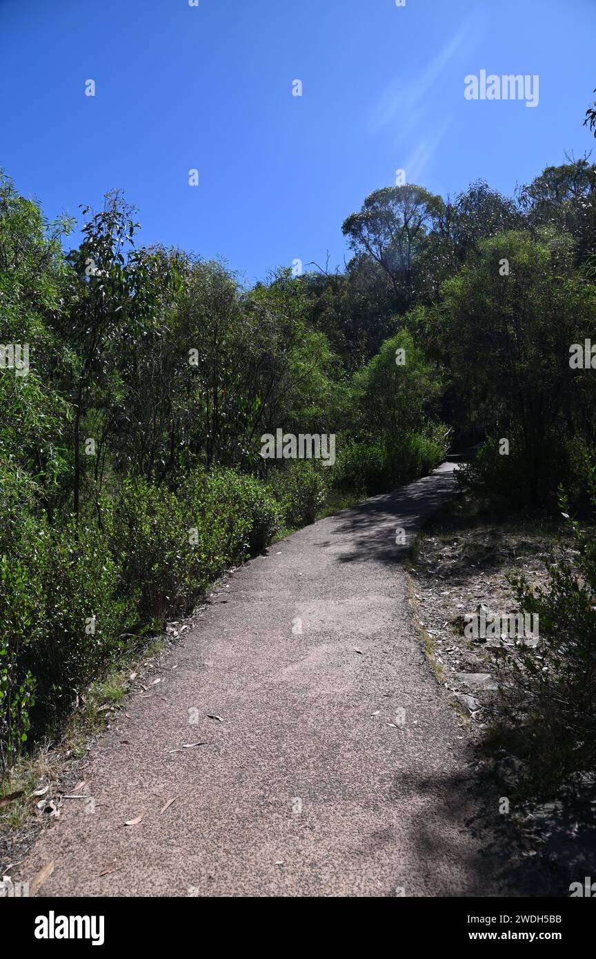 La parte piatta del sentiero in cima alle cascate MacKenzie nel Parco Nazionale dei Grampians Foto Stock