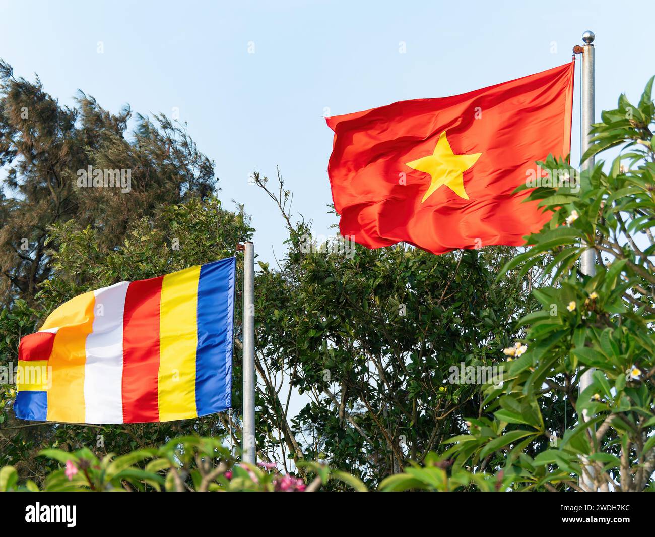 La bandiera buddista e la bandiera vietnamita in una giornata ventosa tra gli alberi a Sam Son Beach, Thanh Hoa, Vietnam. Foto Stock