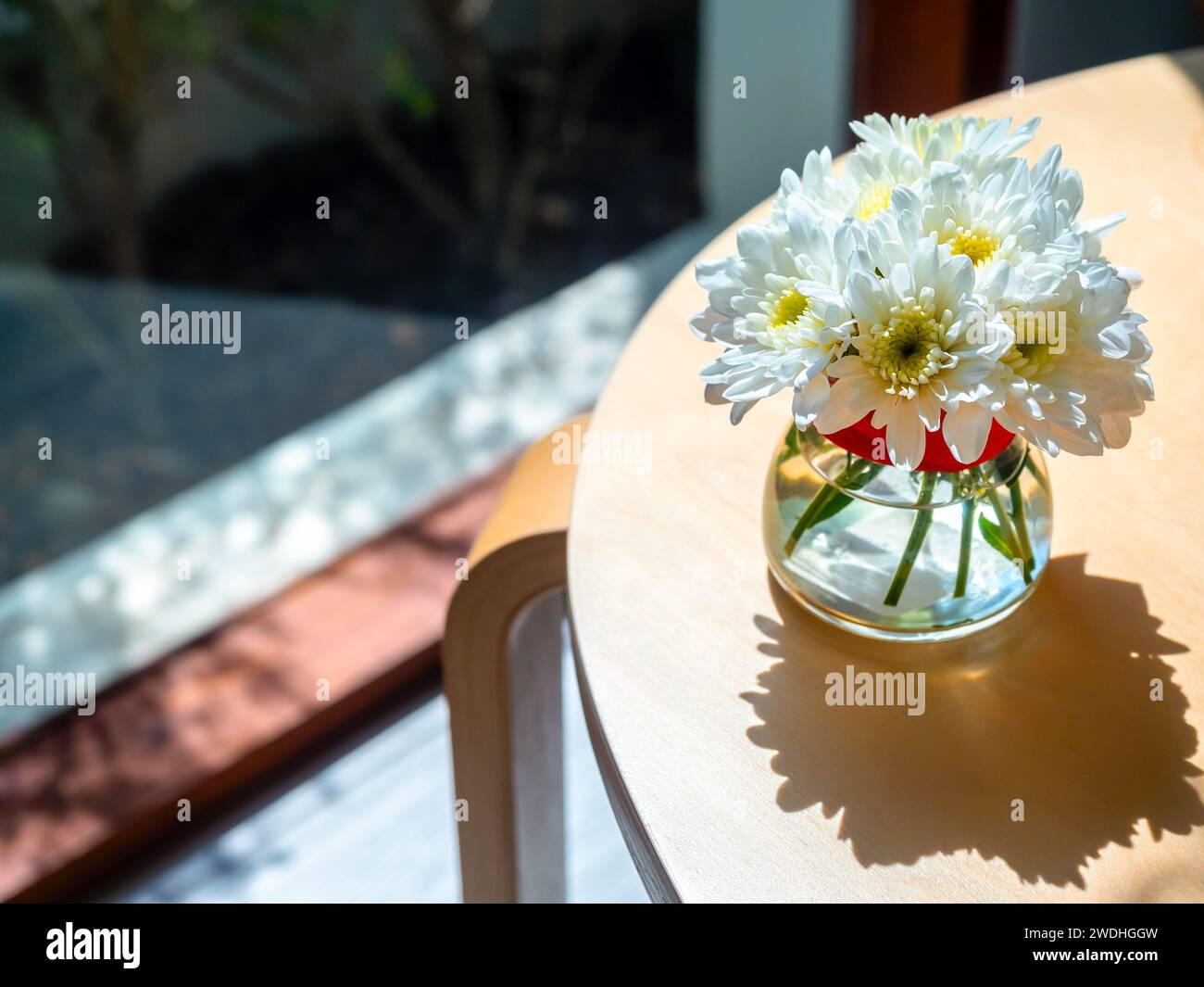 Vista dall'alto della bellezza dei fiori bianchi e gialli in acqua in vaso di vetro con luce e ombra a contrasto, decorazione su tavolo in legno rotondo vicino a gl Foto Stock