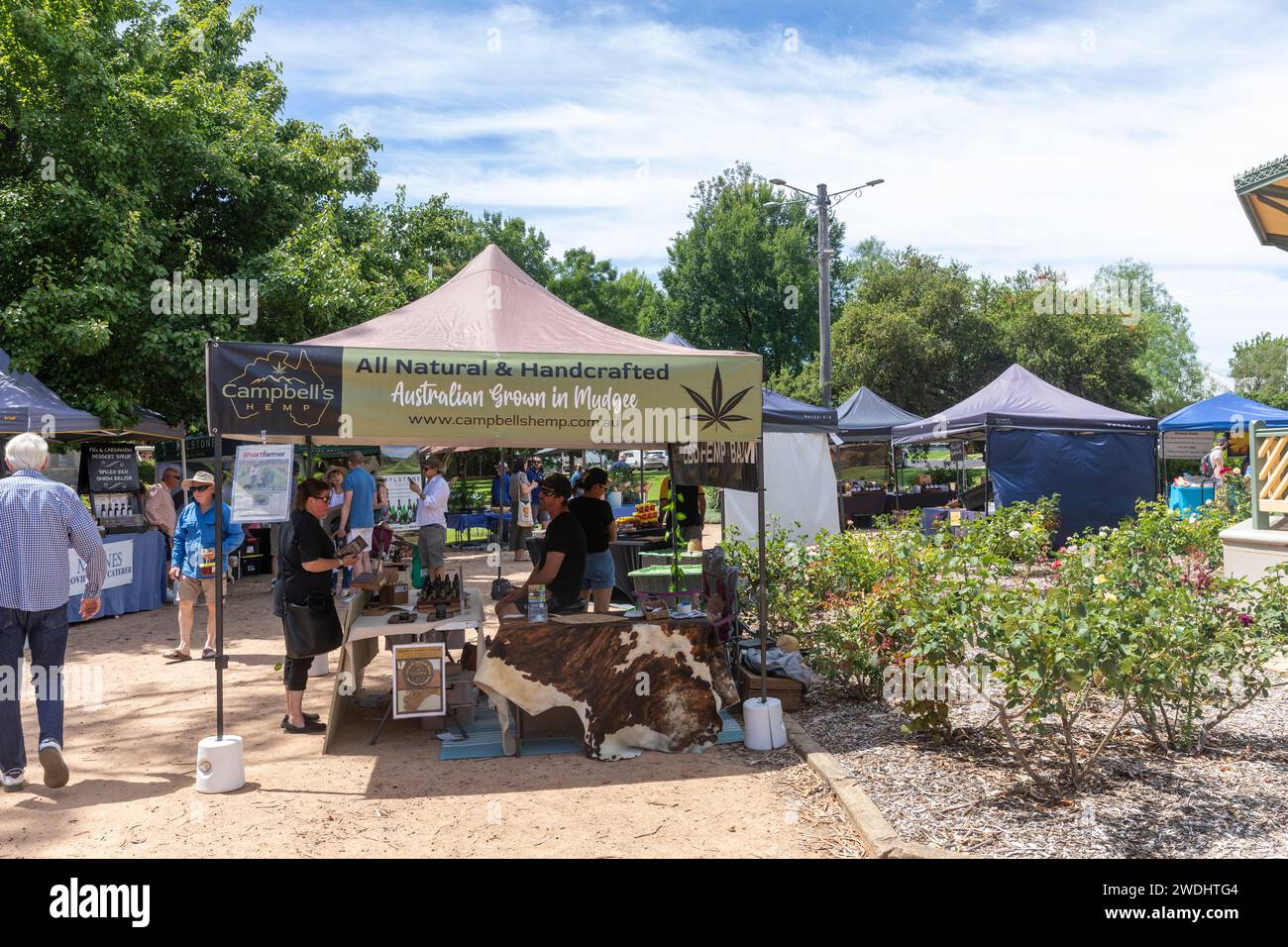 Centro di Mudgee, Australia, Farmers Market a Robertson Park, venditore di prodotti a base di olio di canapa e balsamo della fattoria locale di piante di canapa, New South Wales, 2024 Foto Stock