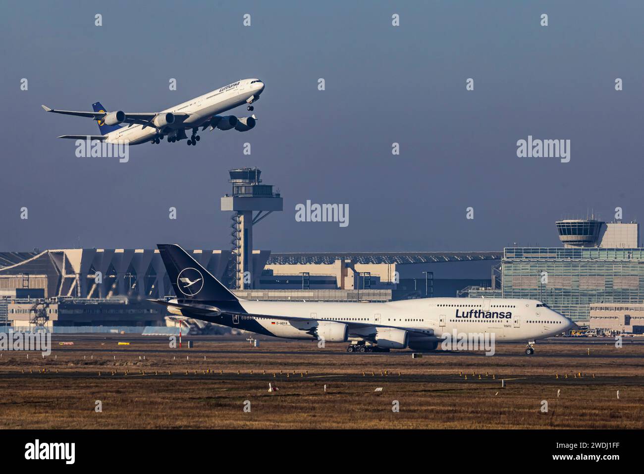 Flugzeug am Frankfurt Airport, Flughafen Fraport. D-AIHX, LUFTHANSA, AIRBUS A340-642. D-ABYA, LUFTHANSA, BOEING 747-830. // 11.01.2024: Francoforte sul meno, Assia, Deutschland, Europa *** aeromobili presso l'aeroporto di Francoforte, aeroporto di Fraport D AIHX, LUFTHANSA, AIRBUS A340 642 D ABYA, LUFTHANSA, BOEING 747 830 11 01 2024 Francoforte sul meno, Assia, Germania, Europa Foto Stock