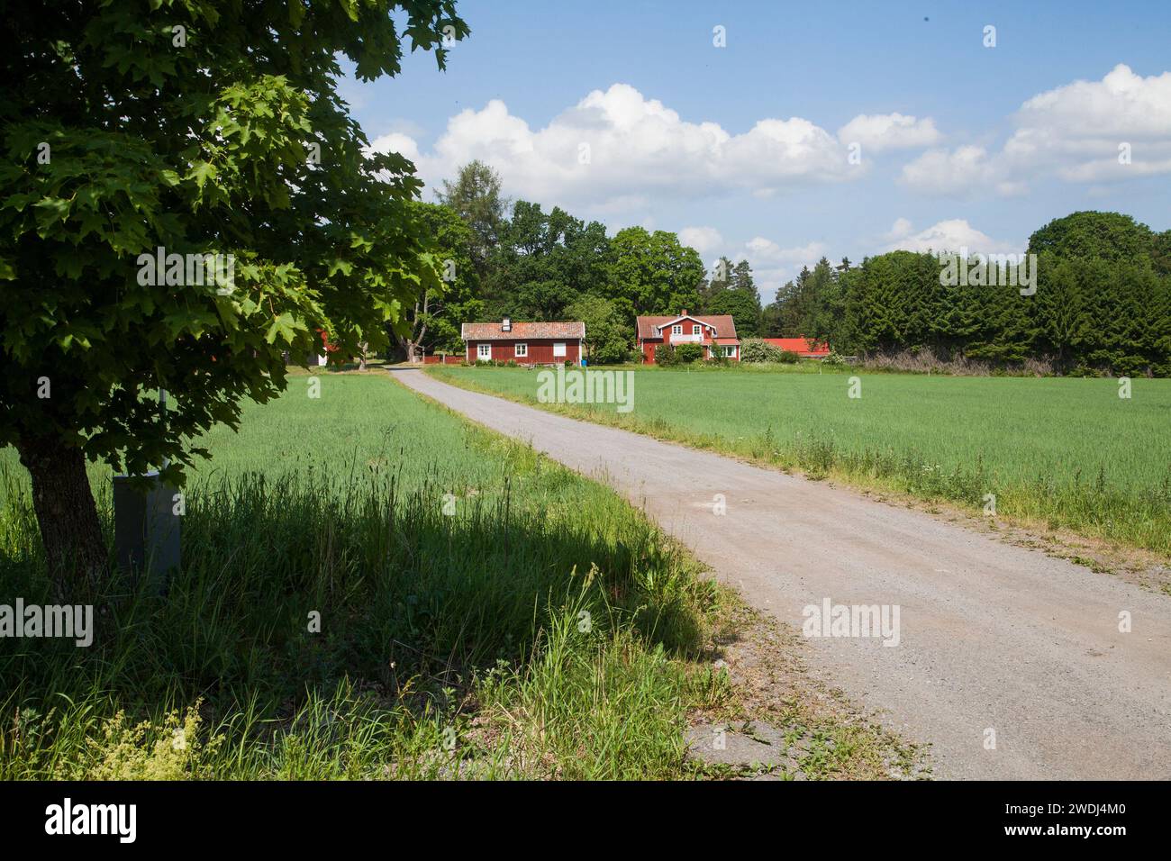 SUMMER HOUSE a Södermanland a pochi chilometri da Stoccolma e ai margini della foresta Foto Stock