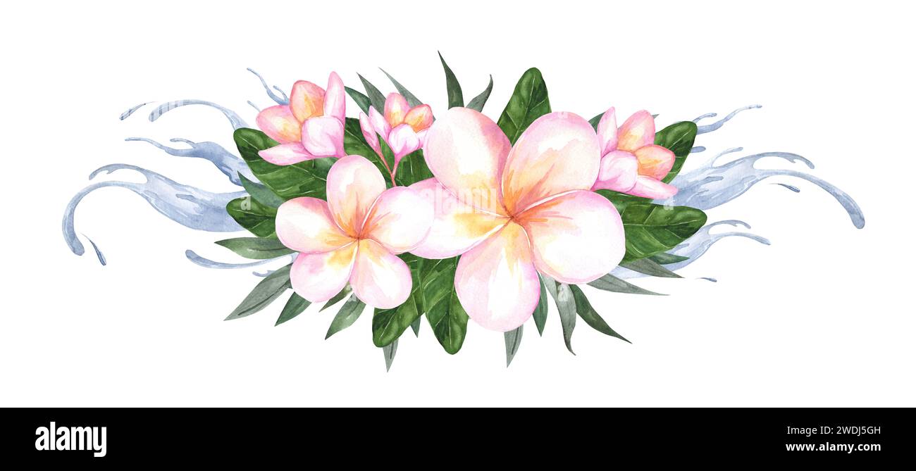 Composizione di fiori di plumeria. Frangipani e foglie di palma isolati su sfondo bianco. Illustrazione botanica acquerello per cosmetici e profumi Foto Stock