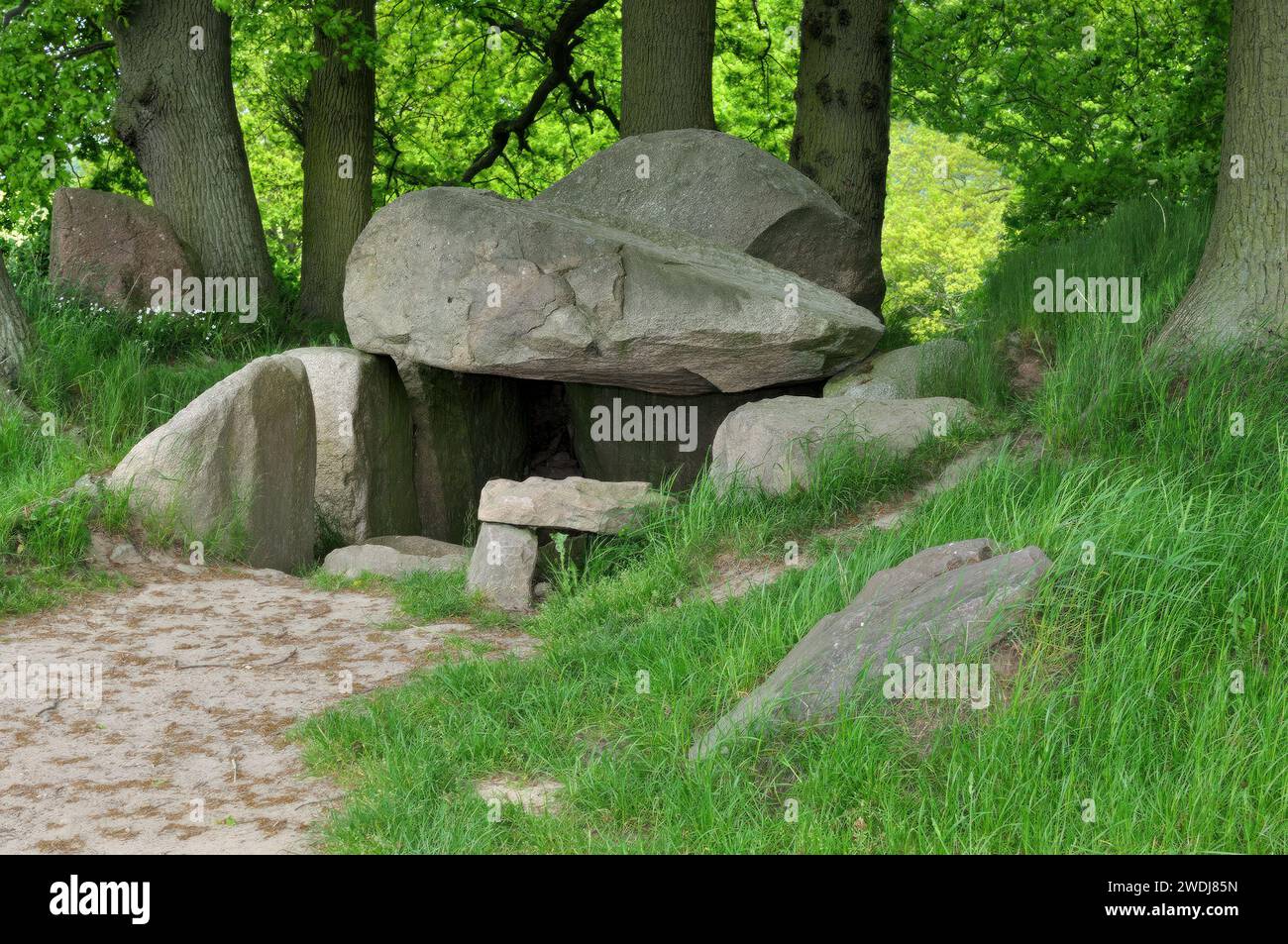 Tomba megalitica su Rügen vicino a Lancken-Granitz, Mar Baltico, Meclemburgo-Pomerania Moro, Germania Foto Stock